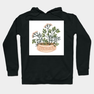 Coriander Hoodie